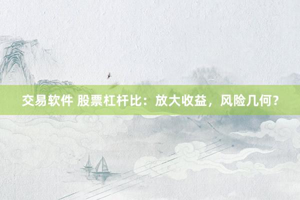 交易软件 股票杠杆比：放大收益，风险几何？