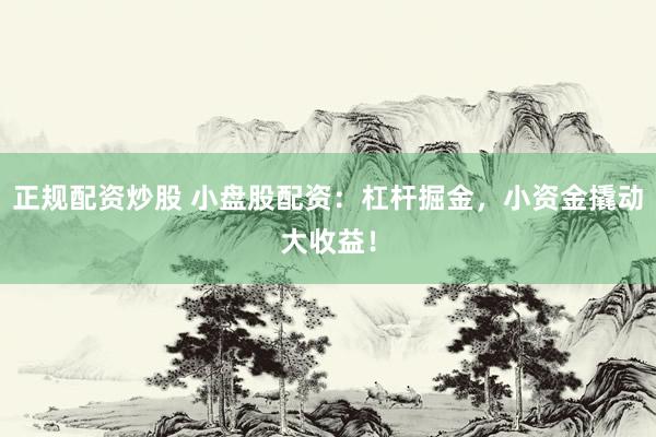 正规配资炒股 小盘股配资：杠杆掘金，小资金撬动大收益！