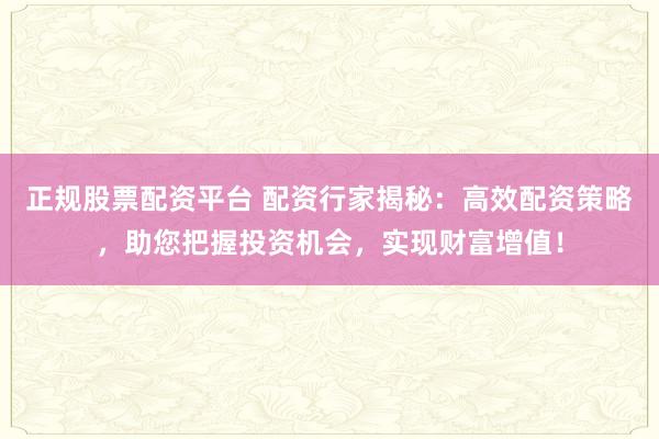 正规股票配资平台 配资行家揭秘：高效配资策略，助您把握投资机会，实现财富增值！