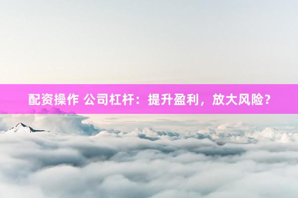 配资操作 公司杠杆：提升盈利，放大风险？