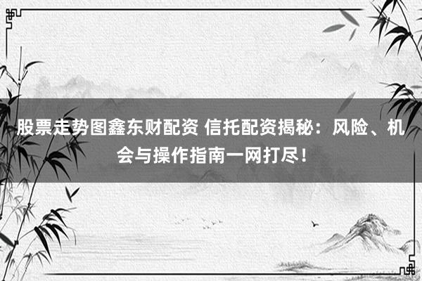股票走势图鑫东财配资 信托配资揭秘：风险、机会与操作指南一网打尽！