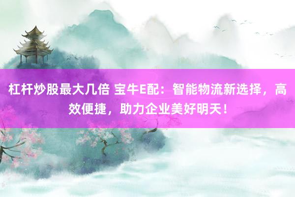 杠杆炒股最大几倍 宝牛E配：智能物流新选择，高效便捷，助力企业美好明天！
