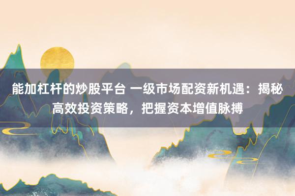 能加杠杆的炒股平台 一级市场配资新机遇：揭秘高效投资策略，把握资本增值脉搏