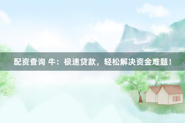 配资查询 牛：极速贷款，轻松解决资金难题！