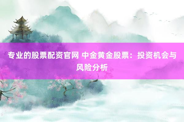 专业的股票配资官网 中金黄金股票:投资机会与风险分析