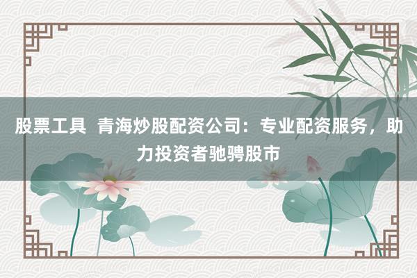 股票工具 青海炒股配资公司:专业配资服务,助力投资者驰骋股市