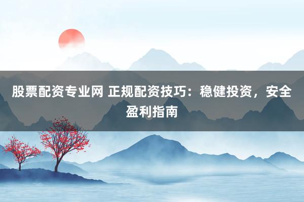 股票配资专业网 正规配资技巧：稳健投资，安全盈利指南
